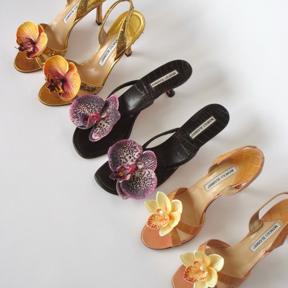 Meet your Posher, Haili - Picture 2 of 5